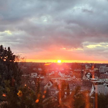 Appartement An Der Weinstrasse Bad Bergzabern Bagian luar foto