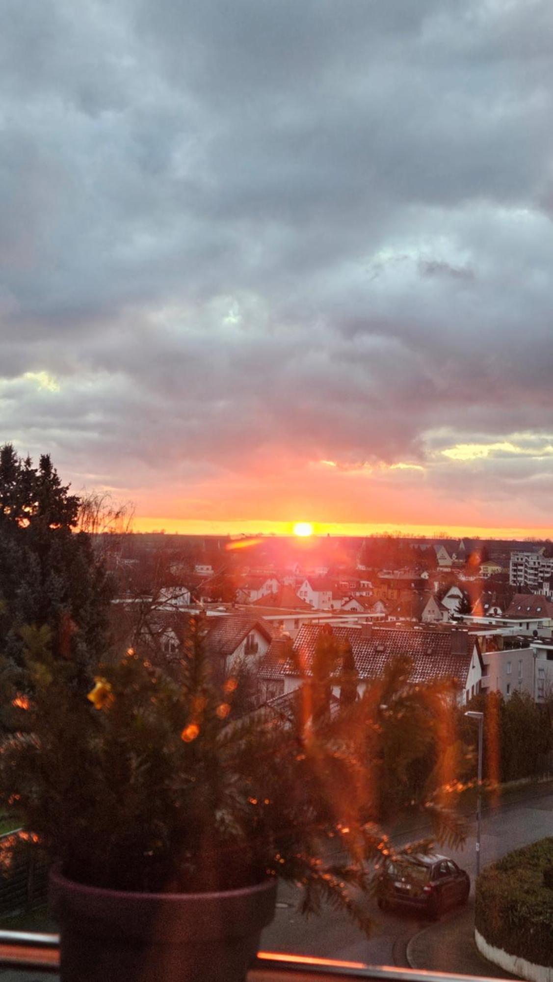 Appartement An Der Weinstrasse Bad Bergzabern Bagian luar foto